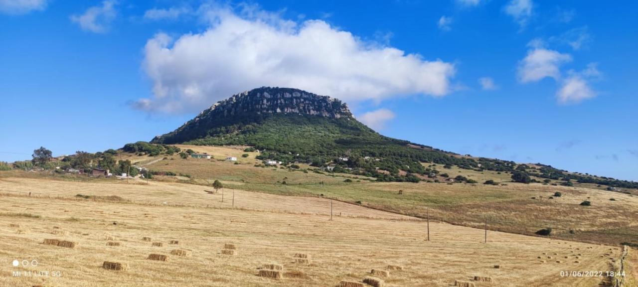 Vila Alquiler Casita En Facinas Exteriér fotografie